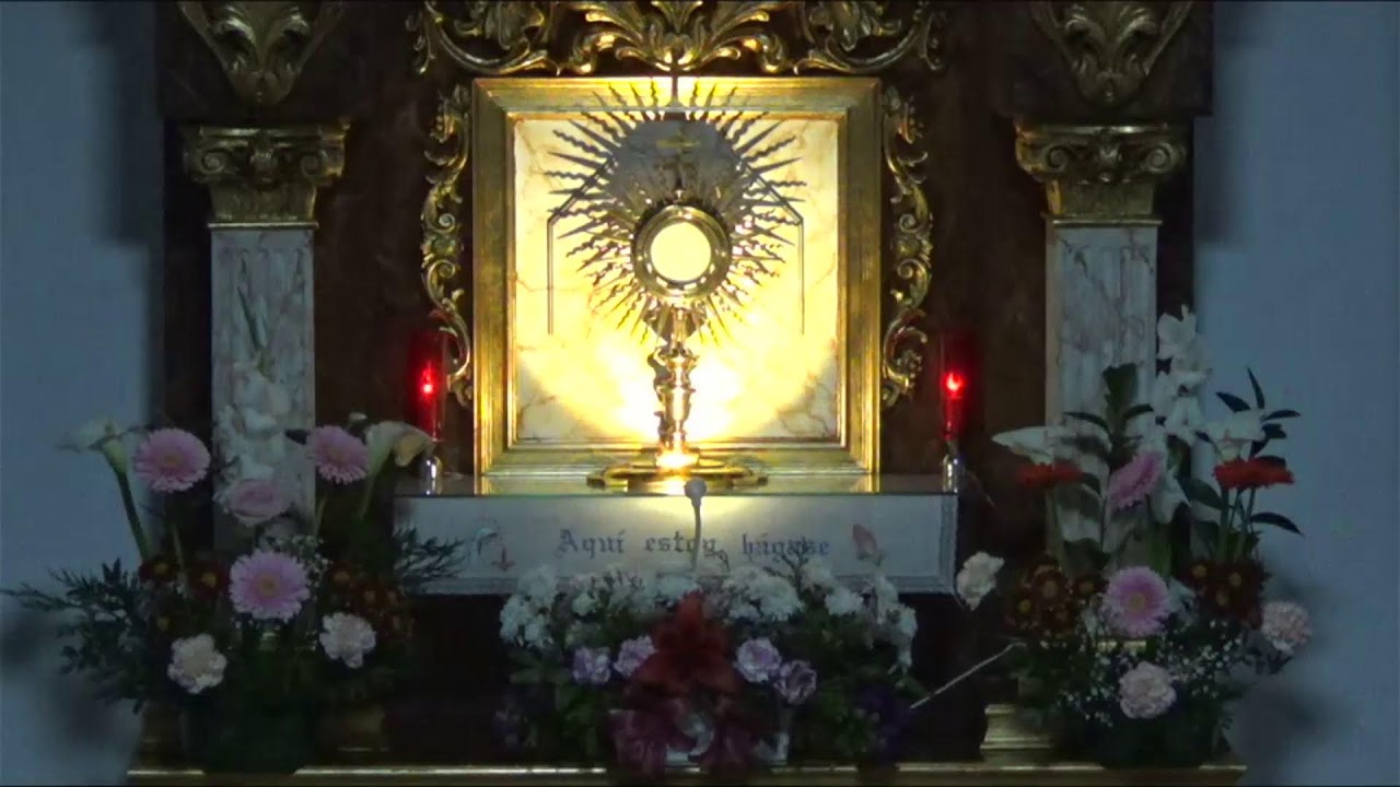 ADORACIÓN EUCARÍSTICA PERPETUA