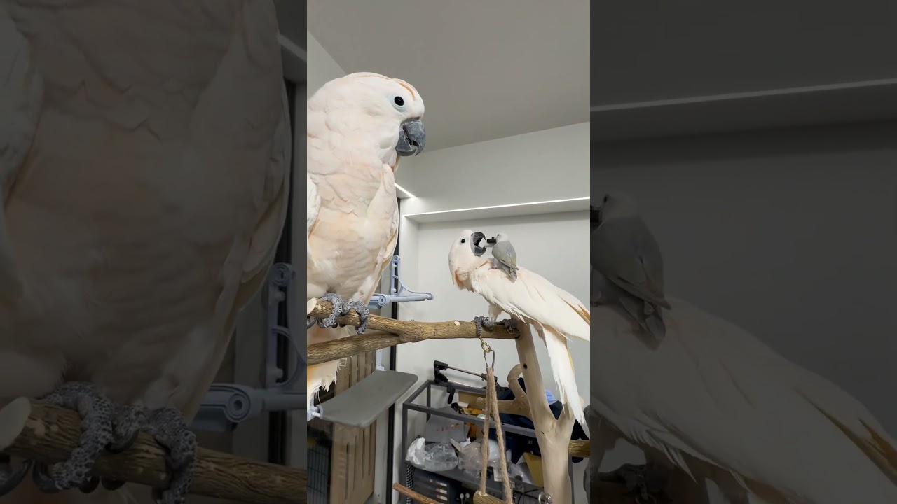 Terrified, yet strangely calm