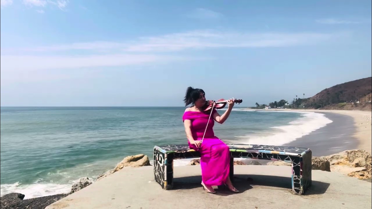 NONA BADALYAN-  UNE VIE D’AMOUR (COVER  VIOLIN) #2025
