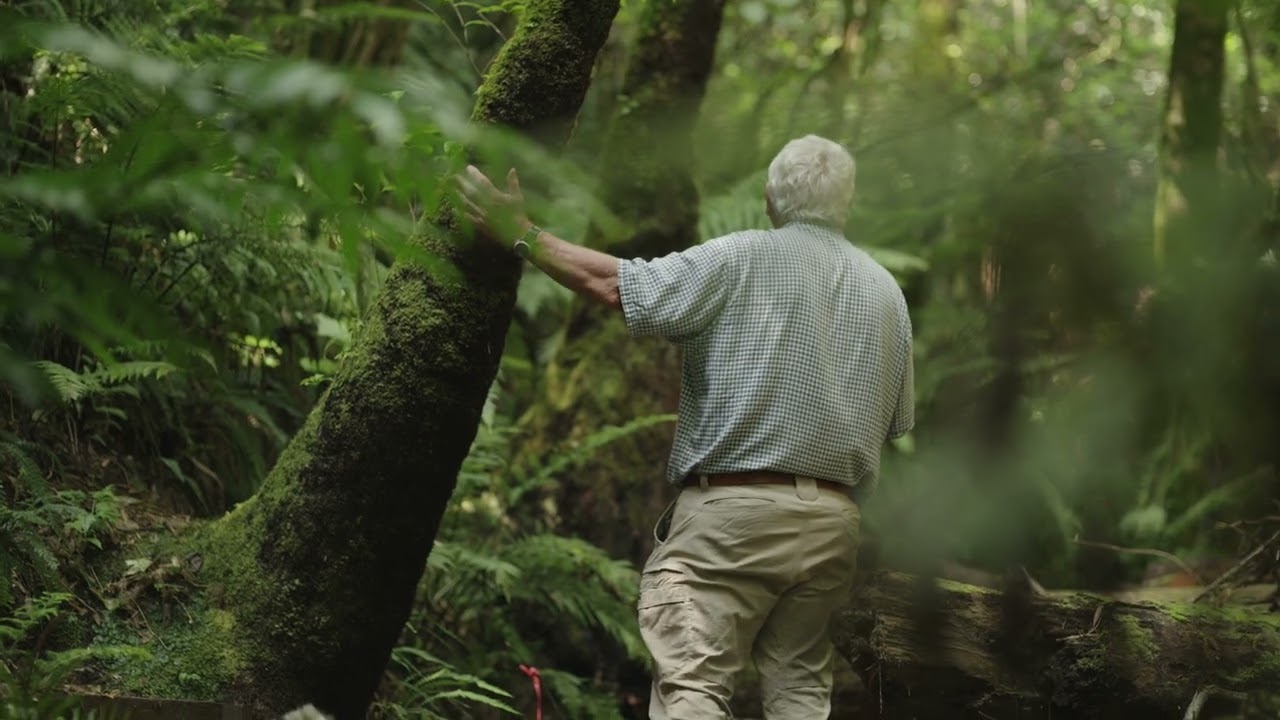 Когда земля здорова, люди здоровы. Когда земля здорова, люди здоровы.