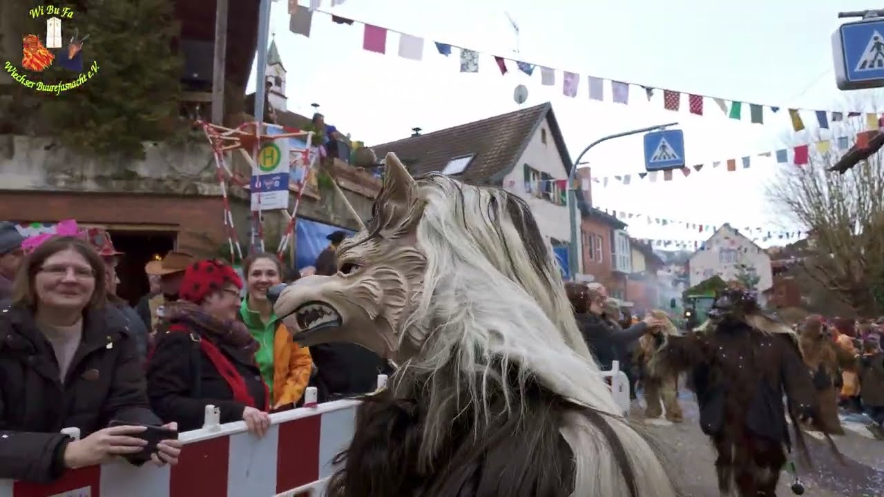 Fasnachtsumzug´26 (2/3)