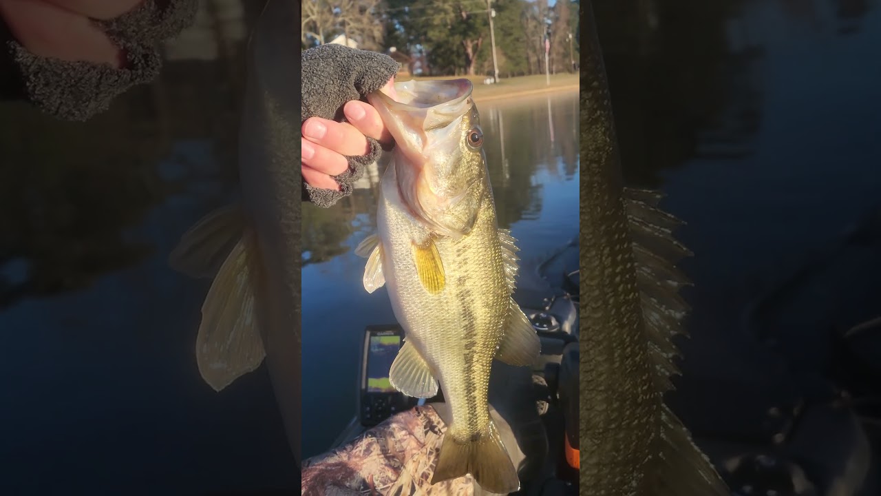First Ever Below Freezing Bass!!! 