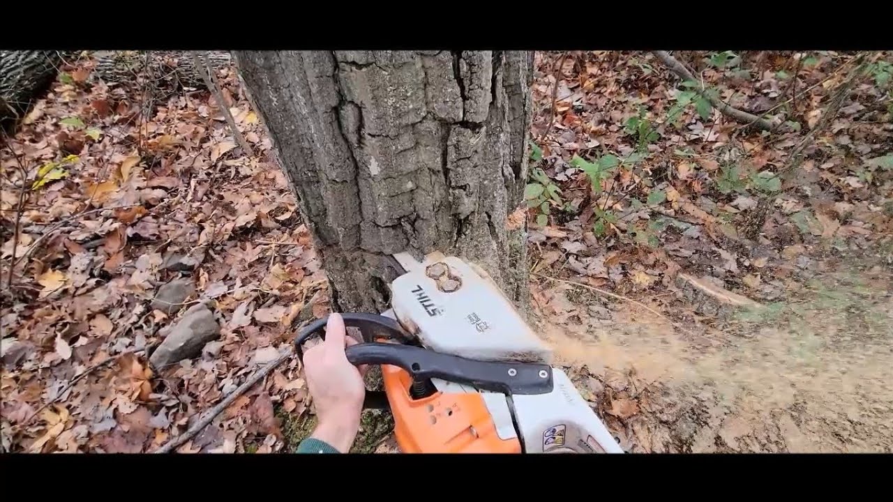 Обзор бензопилы Stihl MS 271 спустя 2 года