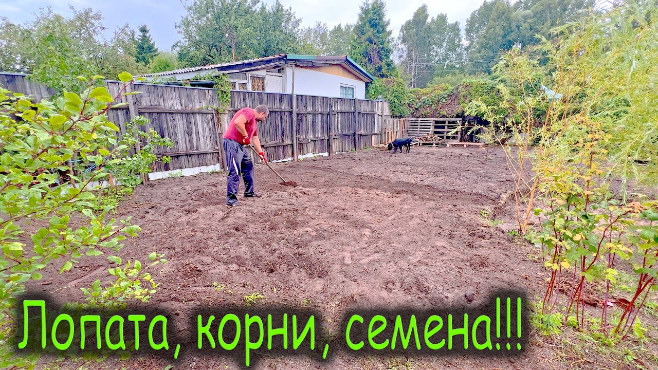 Операция 
