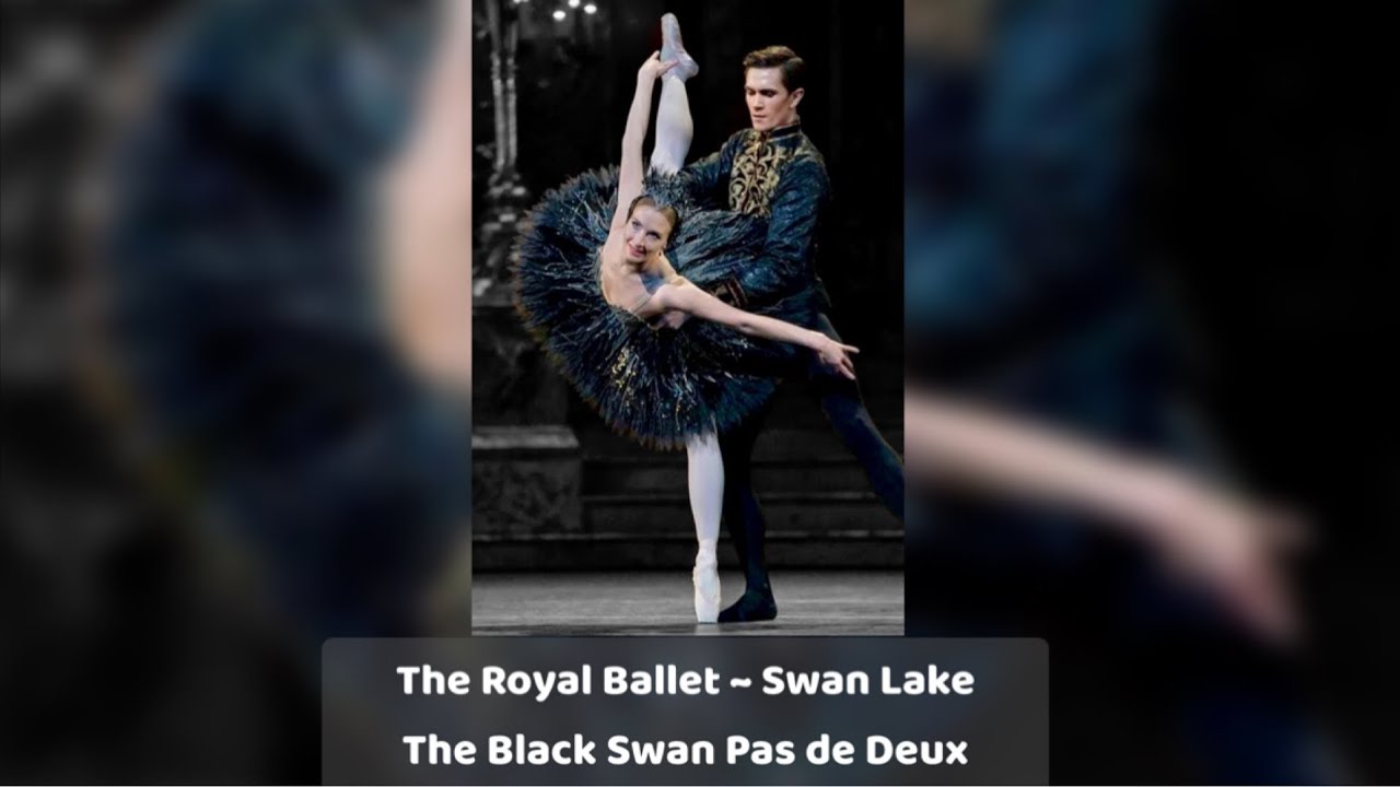 The Royal Ballet ~ Swan Lake Black Swan Pas de Deux