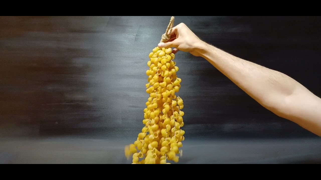 Rattle Shakers Made out of Raw Pasta Pieces and Pistachio Shells