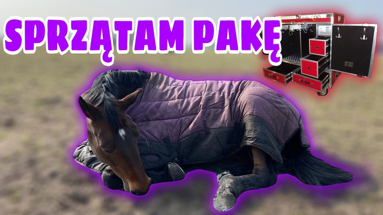 SPRZĄTAM SWOJĄ PAKĘ | MÓJ CAŁY SPRZĘT | * special na 50k * 🤩🎉