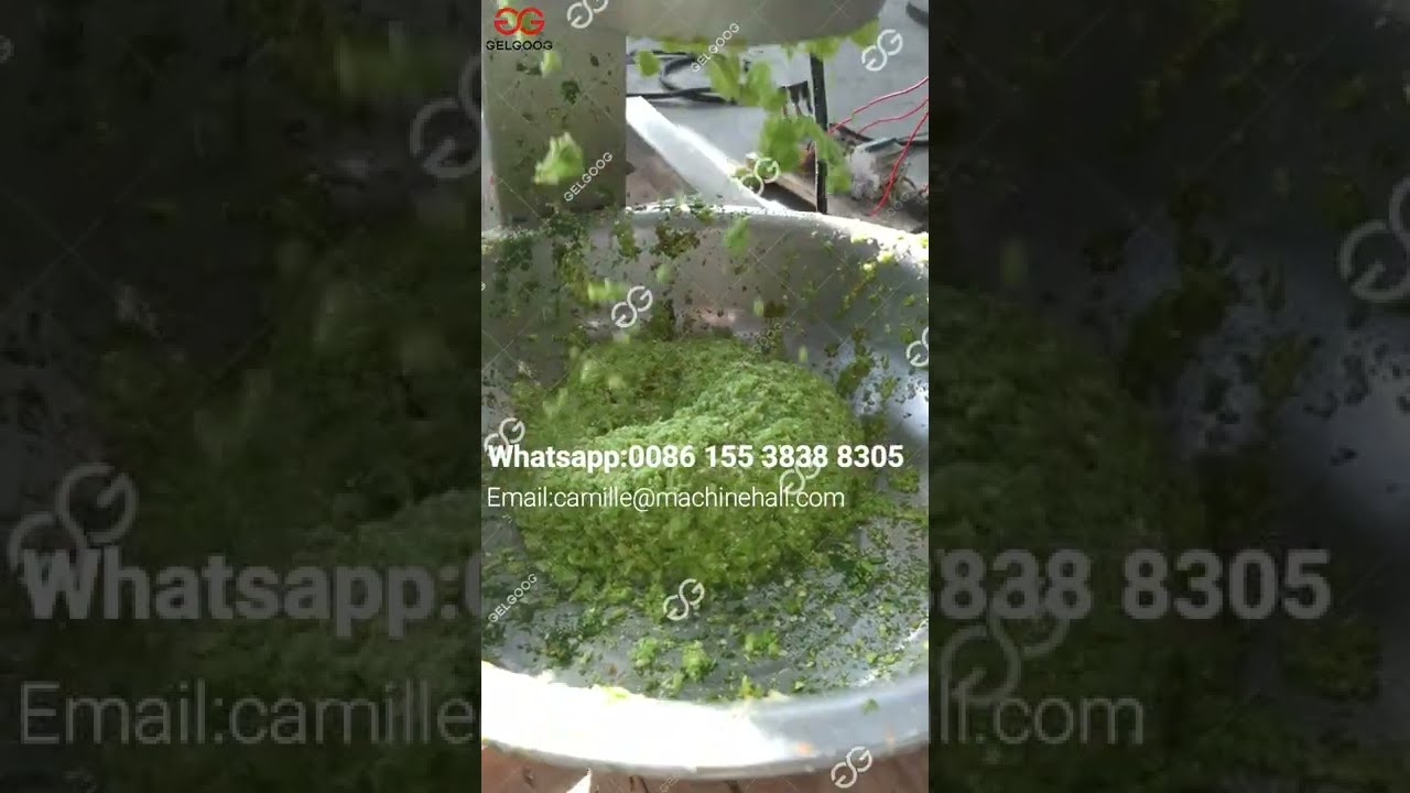 Small Scale Green Chili Sauce Making Machine