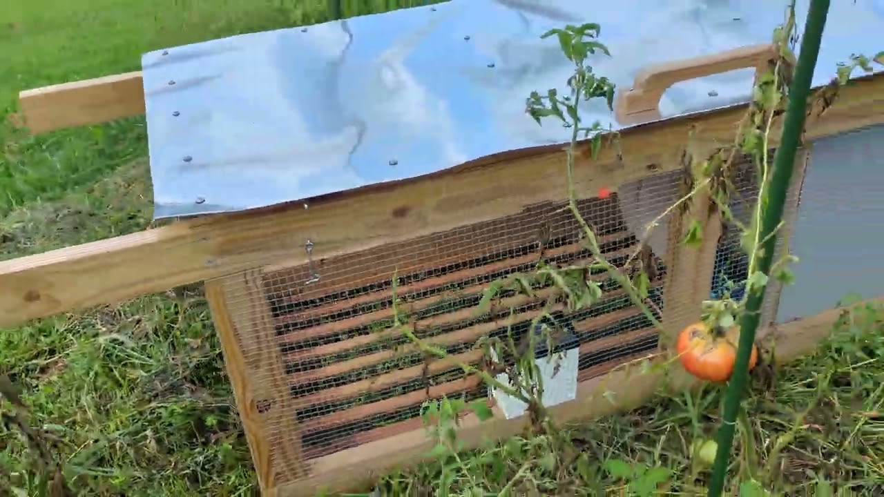 Rabbits in this garden are a good thing