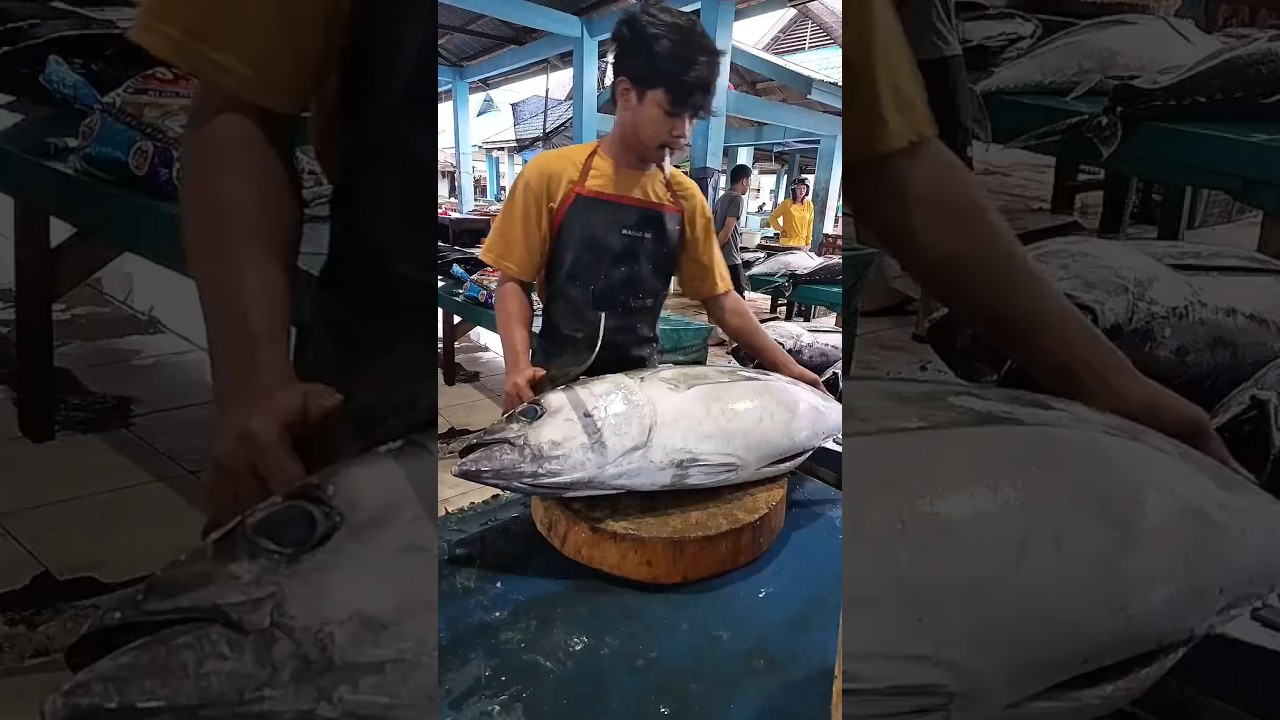Perfect Tuna Cutting Techniques 