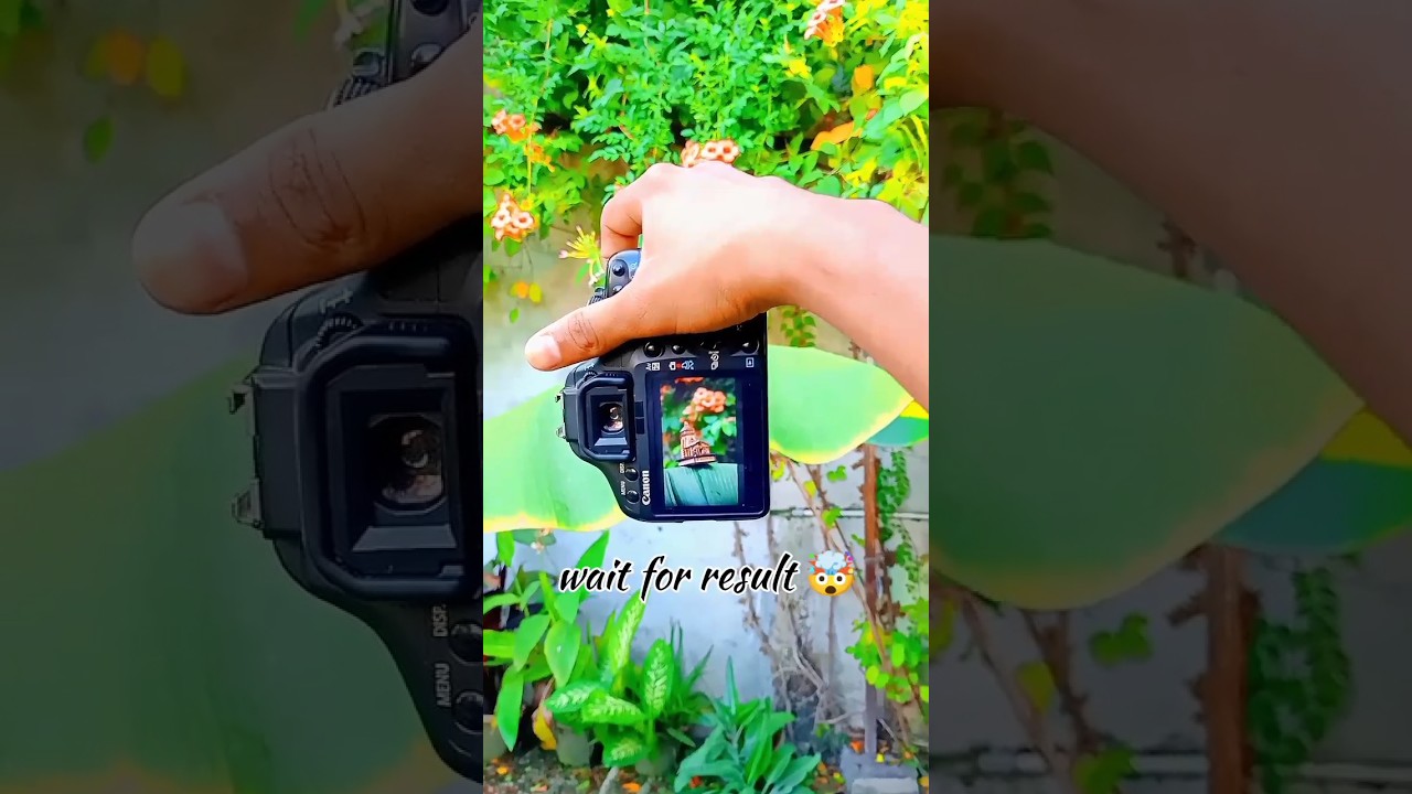 CANON 500D🤯 PHOTOGRAPHY  #photography #shorts