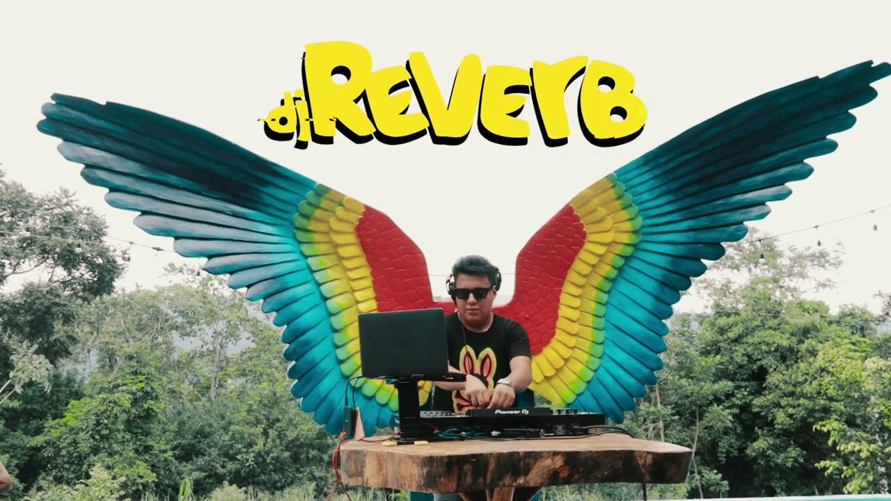 DJ Reverb   Mix Have Fun Wild 2023 (La corriente - Marisola - Shakira/BZRP  - T&oacute;mate un Jager)