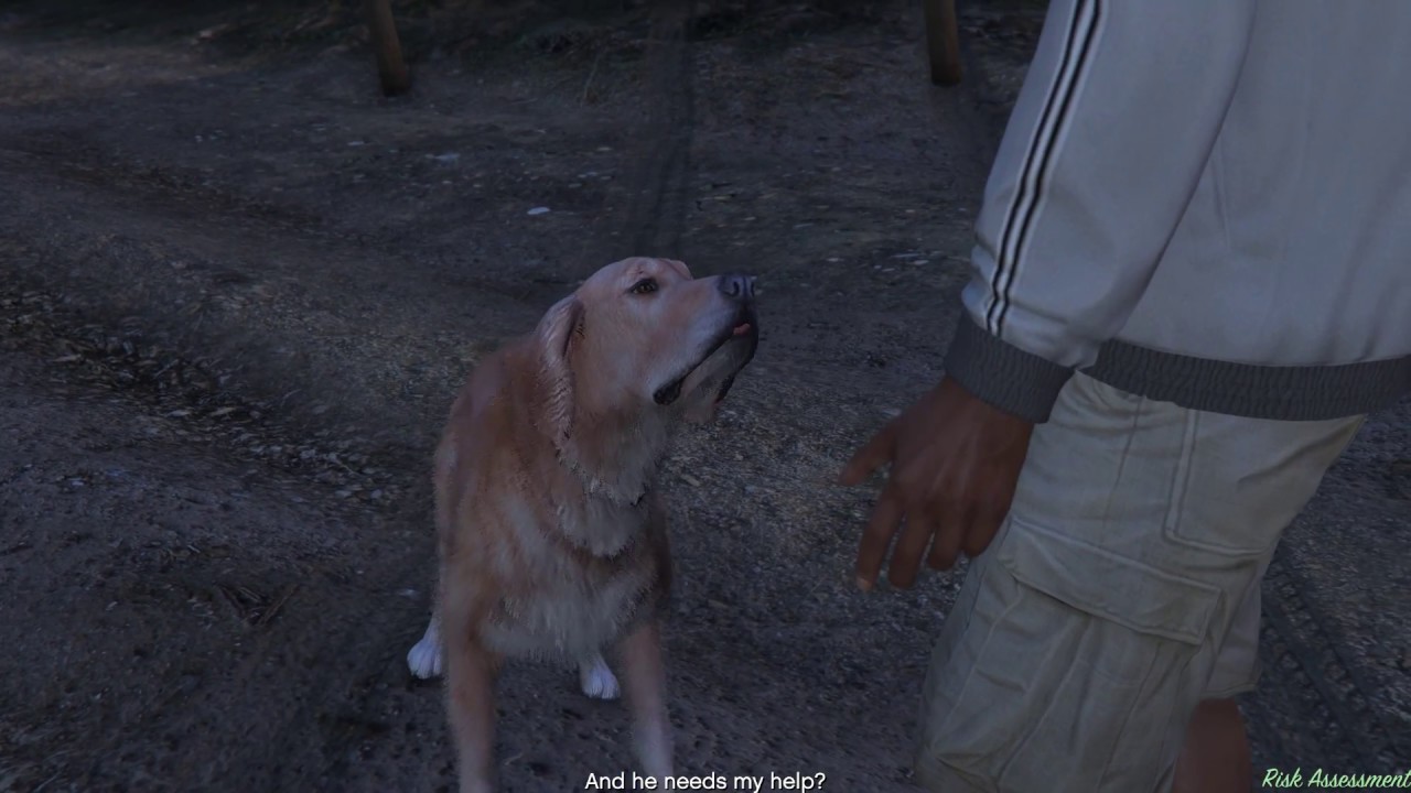 GTA V - Franklin talking to a dog mission
