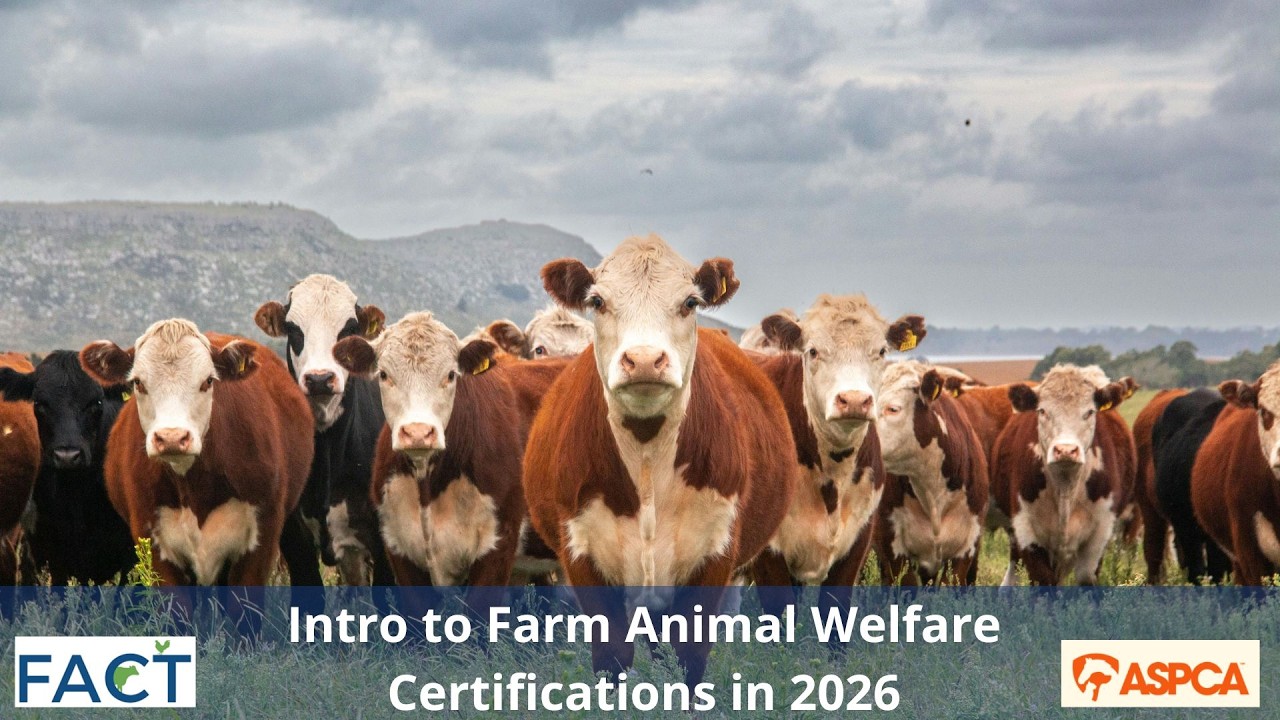 Intro to Farm Animal Welfare Certifications in 2026