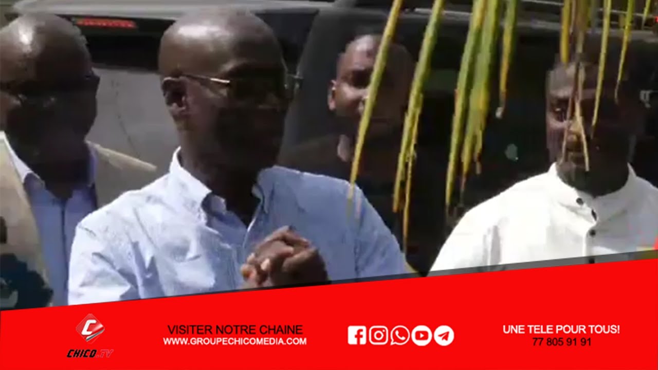 DIC: Les révélations de Thierno Allassane Sall qui annonce une nouvelle aprè son audition