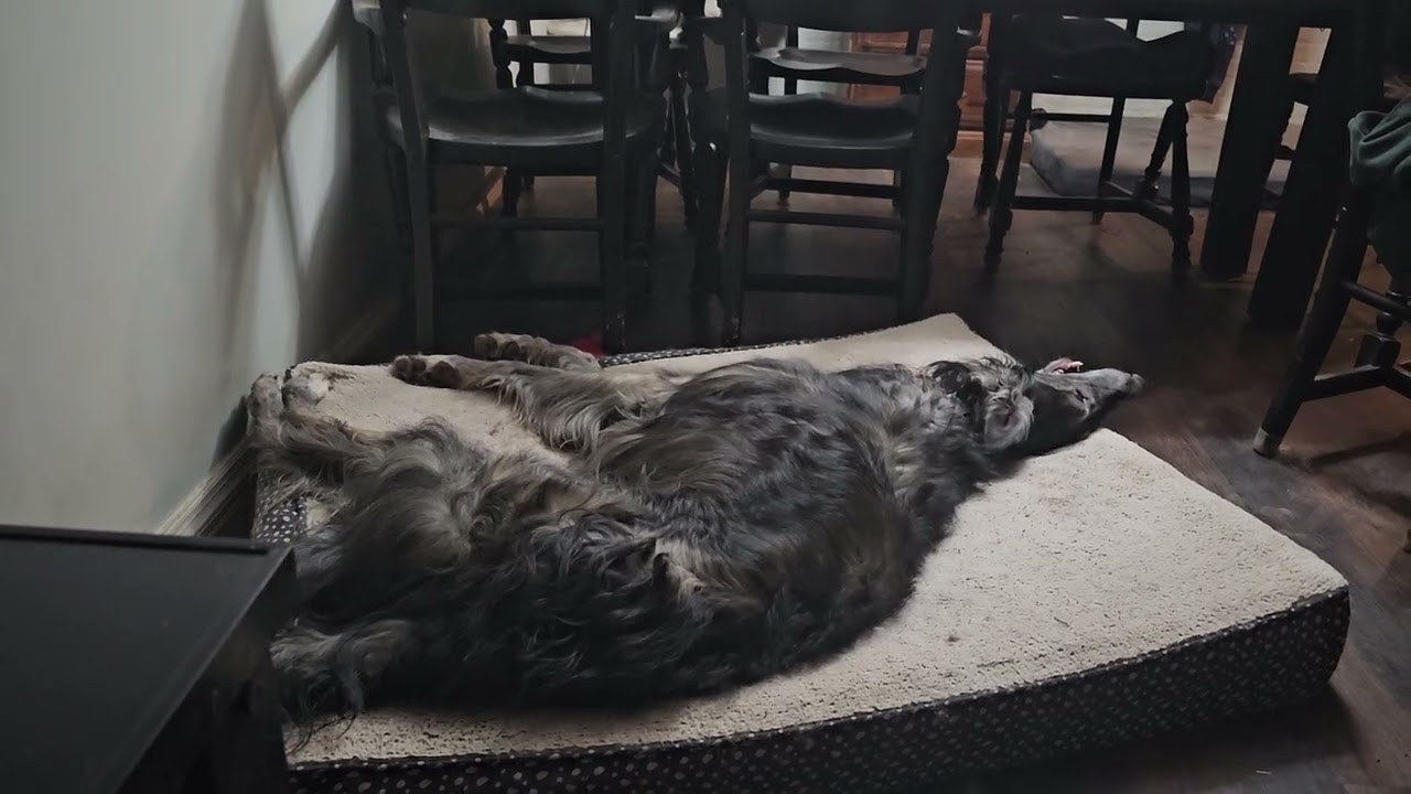 Reaper drama 1/10/26