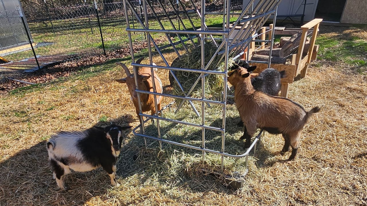 The boys meet the girls