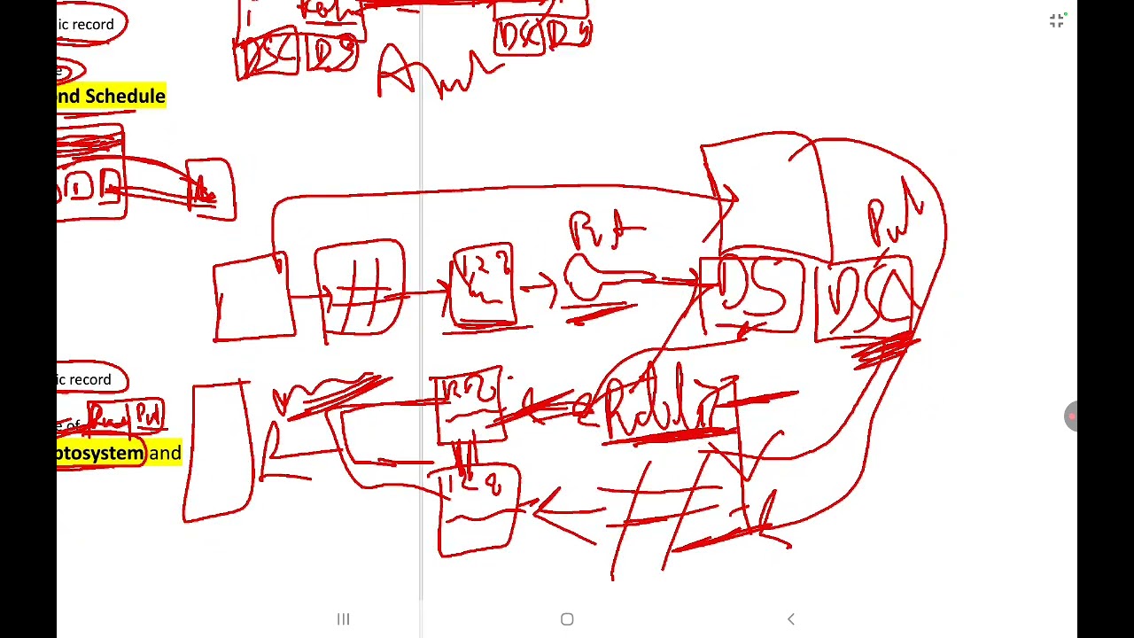 Electronic Signature | Cyber Law