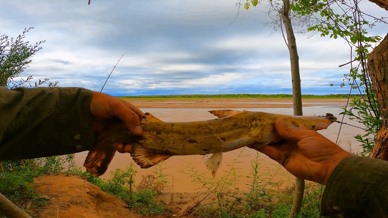 PESCANDO BAGRES CUCHARAS en el RIO BERMEJO// DESENGANCHO MI ANZUELO CON UNA BOTELLA