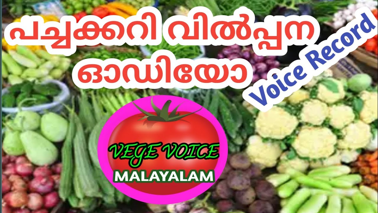 പച്ചക്കറി വിൽപ്പന ഓഡിയോ vegetables sales voice malayalam voice vege voice