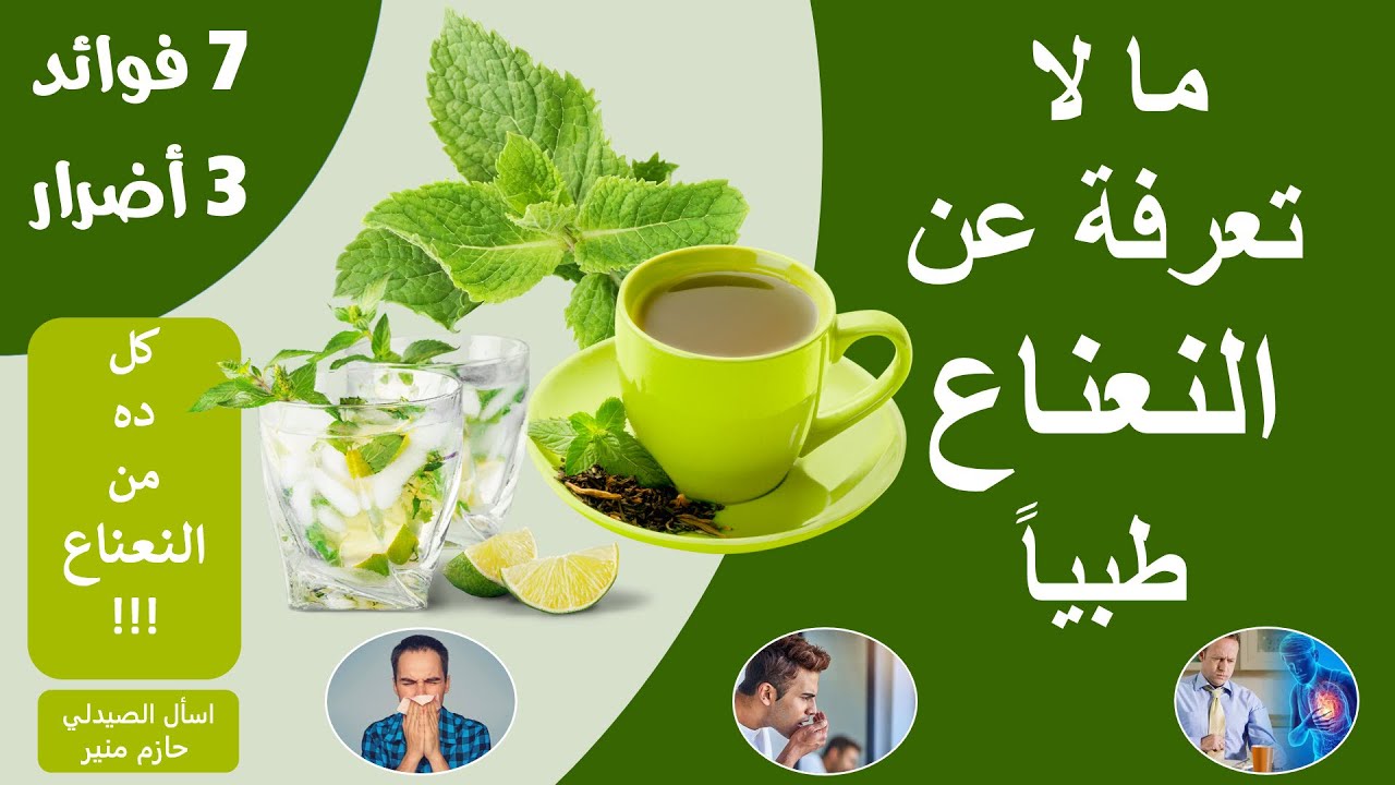 فوائد واضرار النعناع - ما لا تعرفة عن النعناع | لازم تشرب نعناع من النهاردة