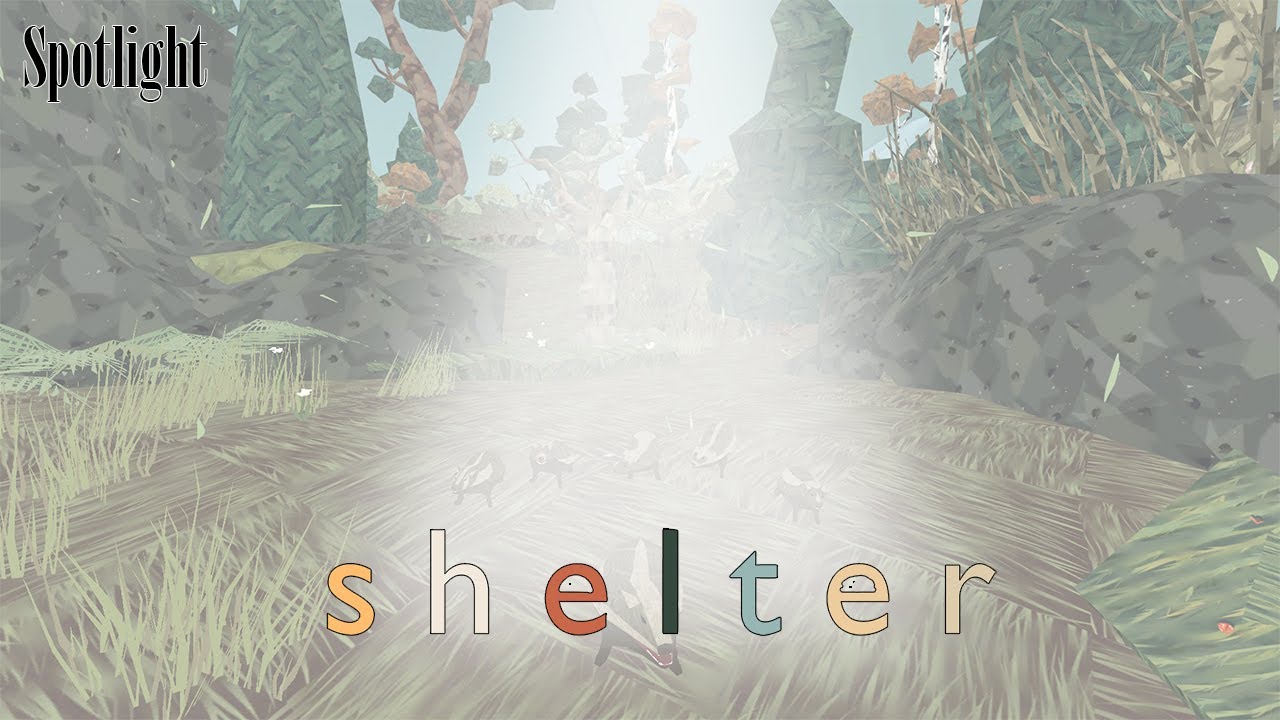 Shelter - Spotlight
