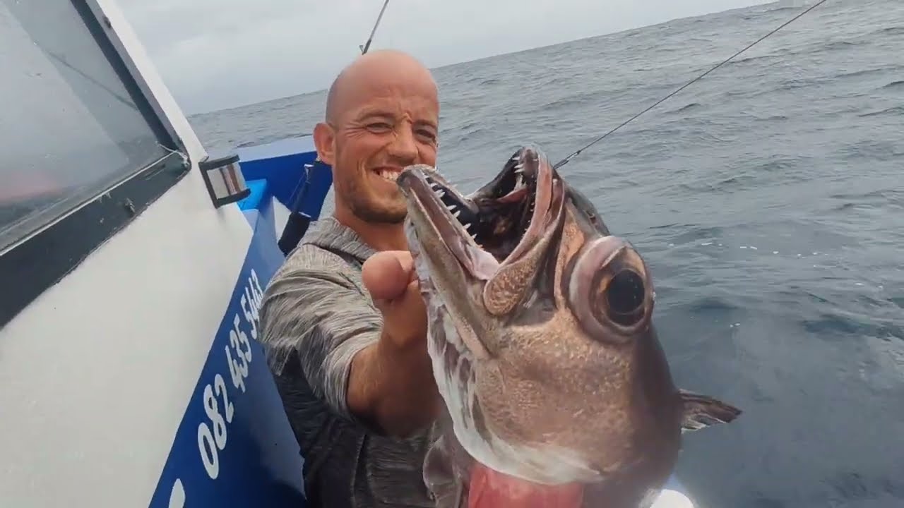Huge grouper brought up from extreme depth
