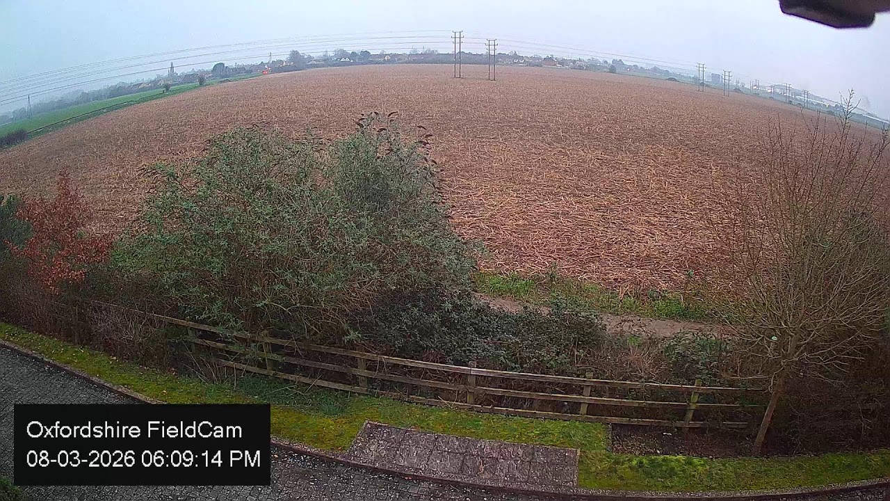 🔴 LIVE Oxfordshire FieldCam - Live Streaming from Oxfordshire, UK
