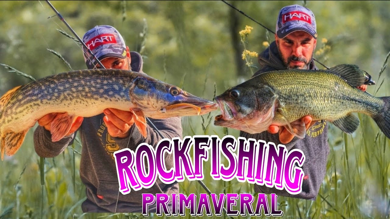 Rockfishing Primaveral en Fresh water 🐊Lucio y Black Bass 🐸 al Manolo de Hart 🔥 Light Fishing