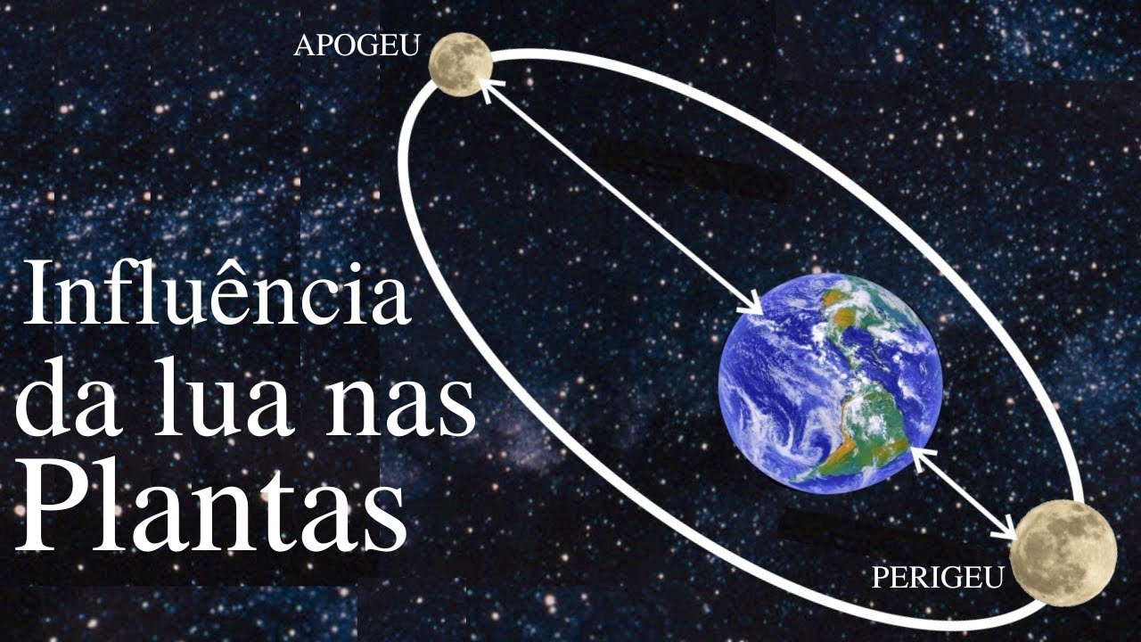 INFLUÊNCIA DA LUA NAS PLANTAS -  DE FORMA SIMPLES E FACIL DE ENTENDER - O MAIS FÁCIL DO YOUTUBE