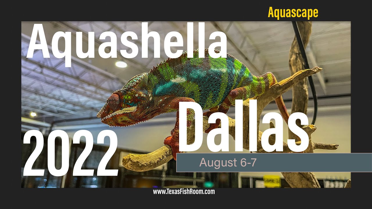 Dallas Aquashella 2022 Aquascape Aquariums Tour