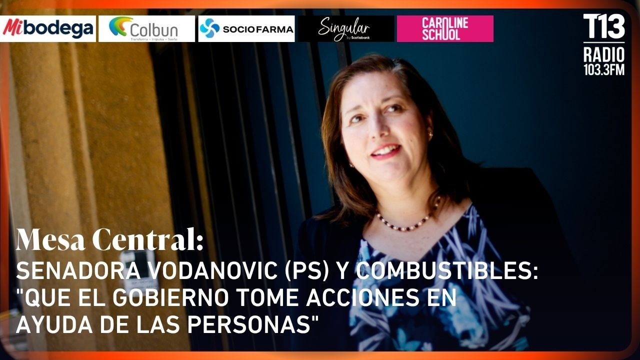 Senadora Vodanovic (PS) y combustibles: 