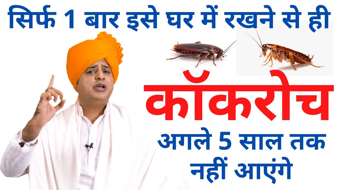 यह 1 बार लगाने से ही कॉकरोच अगले 5 साल तक नहीं आएंगे, Get Rid Of Cockroach || Sanyasi Ayurveda ||
