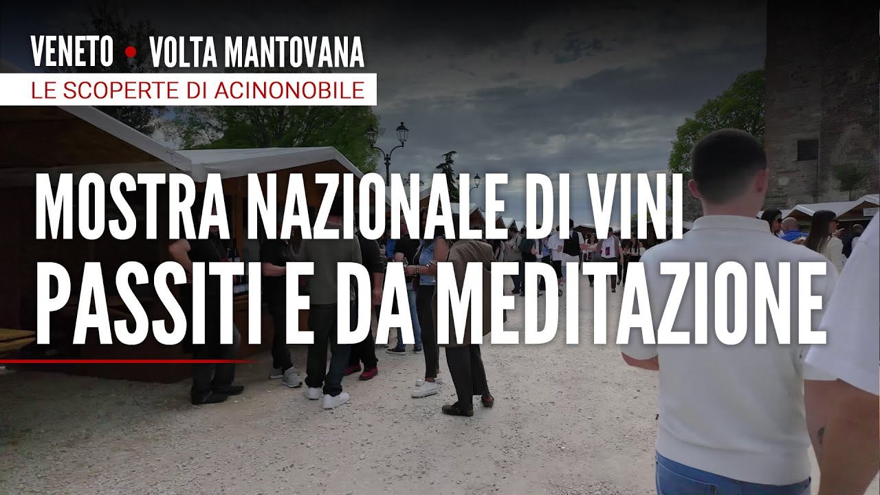 Vini Passiti e da Meditazione: un viaggio tra follia, tempo ed emozioni | Volta Mantovana 🍇
