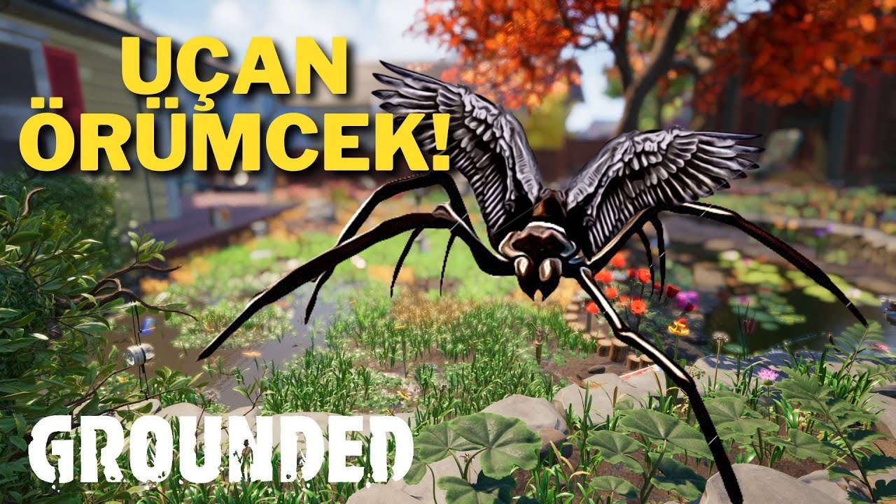 GROUNDED - GÖKTEN ÖRÜMCEK YAĞIYOR!!!
