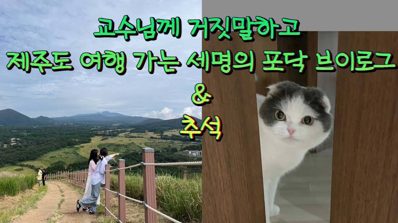 포닥 2년차 브이로그 | 10월 | 교수님께 거짓말치고 제주도 놀러가기 | 추석 | 새별오름, 제주롯데호텔 헬로키티방, 성산일출봉, 우도잠수함, 돼지오마카세, 자랑스런 공무원상
