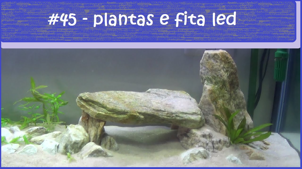 Plantas e fita LED no aquário de 150 litros