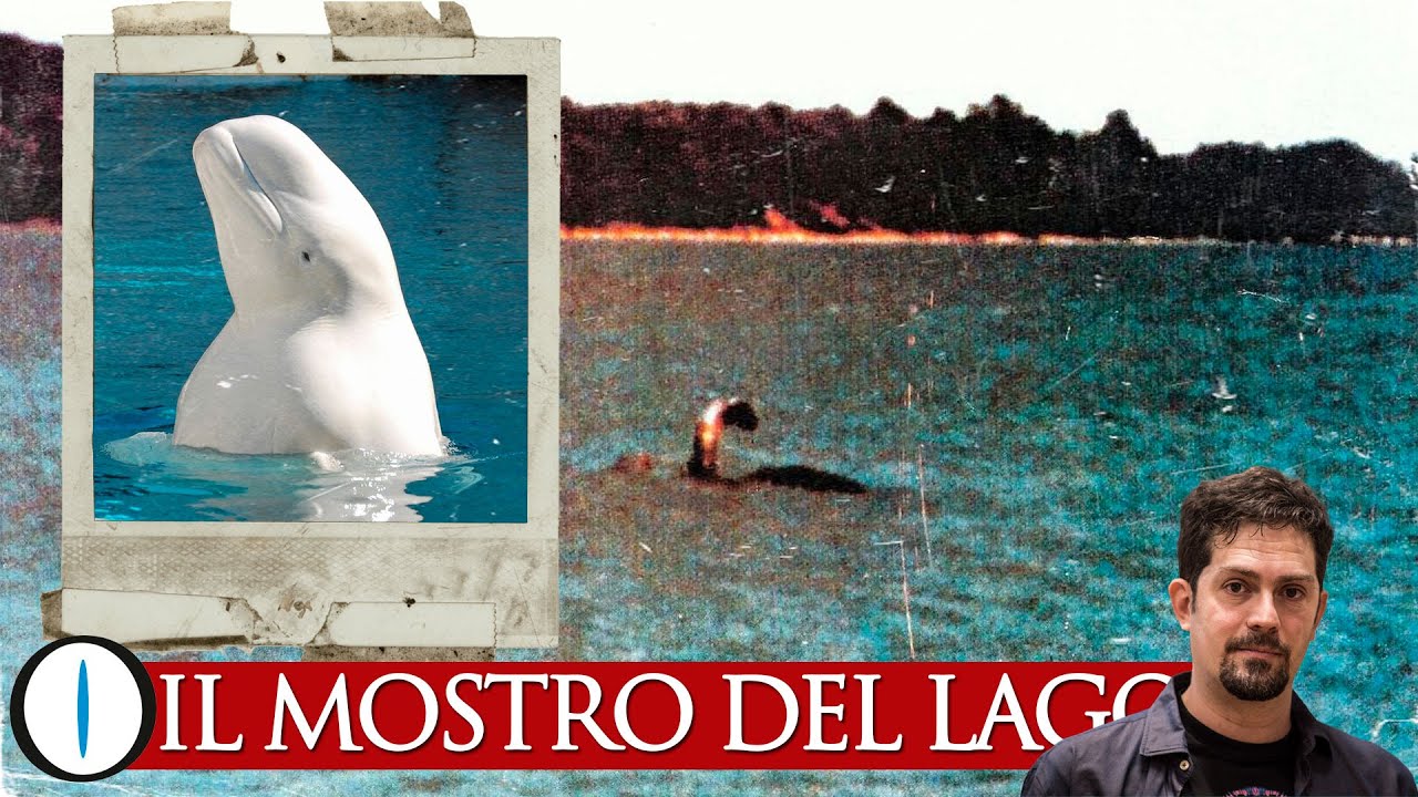 Il MOSTRO del Lago Champlain - LOCH NESS in America