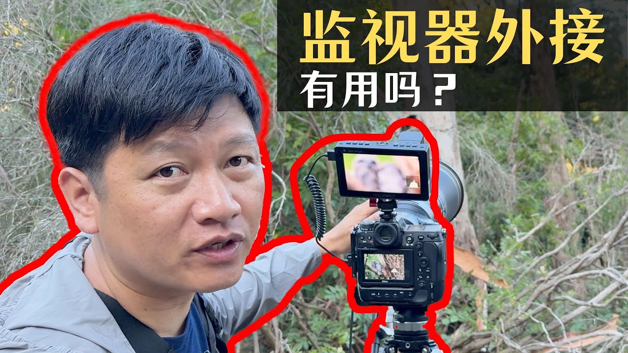【詹姆斯】Z9相机的最佳监视器选择-FEELWORLD F5 PROX