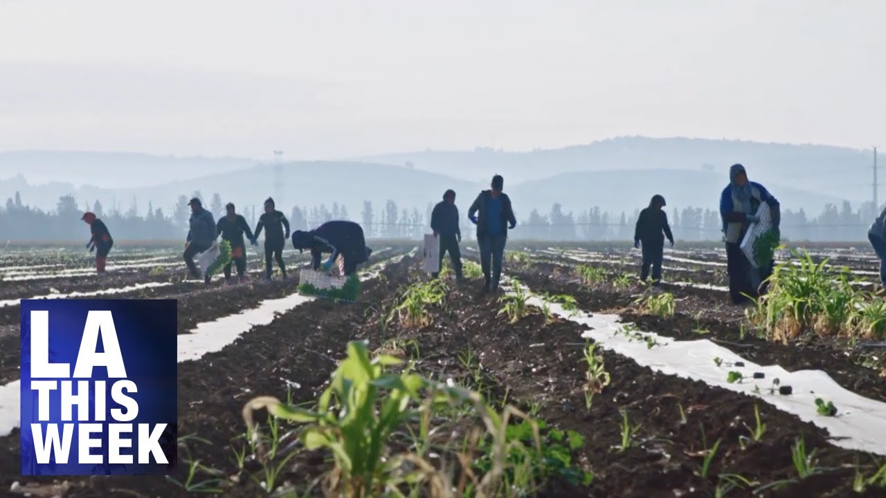 U.S. Department of Labor Concentrates on Work Abuse