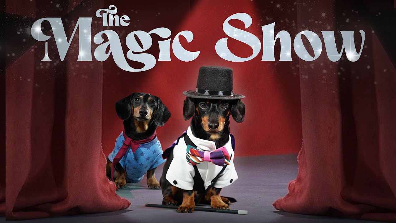 Ep 12: Crusoe Makes Oakley DISAPPEAR! — (Funny Dog Magic Show)