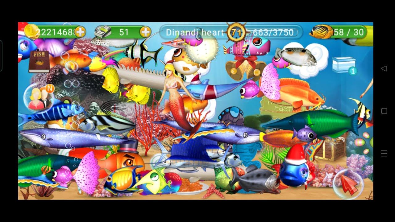 Fish live (Game Peliharaan Ikan di Akuarium)