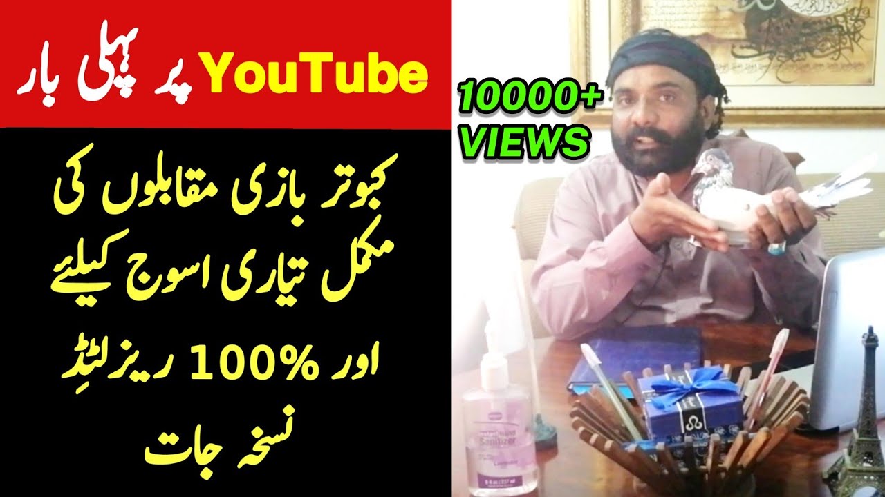 Kabootar Bazi Muqablon ki Tayyari | Asooj ki Tayyari | 100% Resulted Parwazi Nuskhay