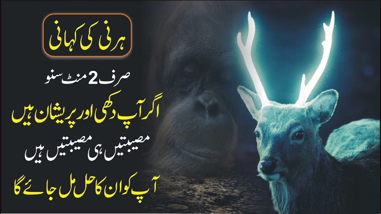Never Lose Hope in Your Life Amazing Inspirational Story by Atif Ahmed Khan Learn Kurooji urdu hindi
