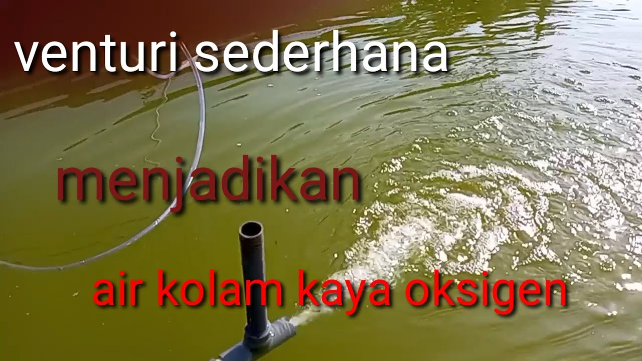 membuat aerator sederhana ( venturi ) kolam ikan dari waterpump