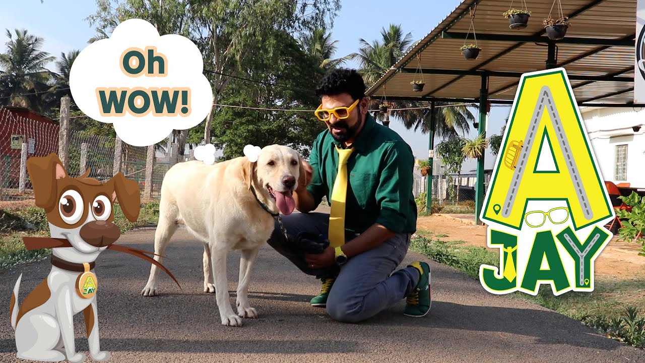 AJAY learns How to play with Dogs at WAG VILLE| Educational videos for kids