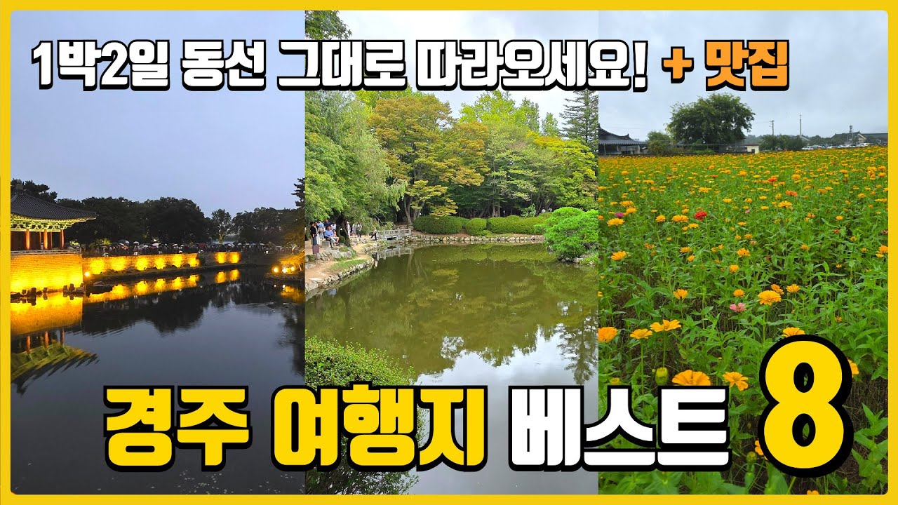 경북 경주 여행지 베스트 8곳, 경주 가기 전에 보세요!｜1박2일 완벽 동선 공개 | APEC 개최지 경주 가볼만한 곳 | 당일치기 국내여행