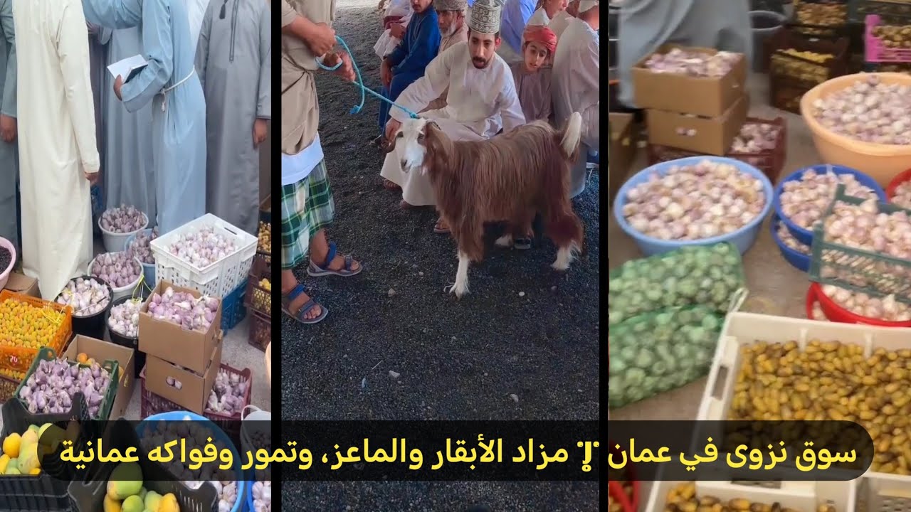 سوق نزوى في عمان | مزاد الأبقار والماعز، وتمور وفواكه عمانية #سوق_نزوى تمور_عمانية#dimlight