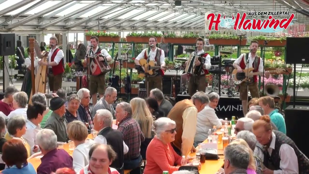 Eine Herde weißer Schafe, Höllawind aus dem Zillertal