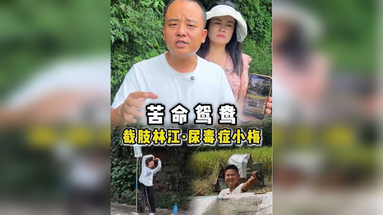 风雨同舟十八载，患难与共见真情 @无腿林江 命运两度重击，他瘫痪她患尿毒症。这对苦命鸳鸯耕于田，为生计治疗奔波，爱撼人心。